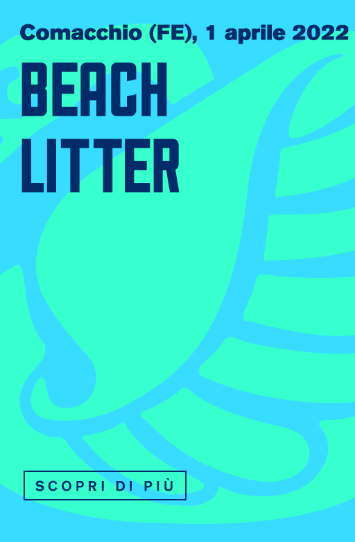 Beach Litter a Comacchio