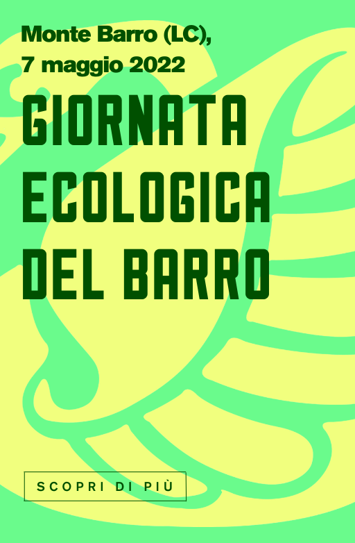 Giornata Ecologica del barro Youth4planet